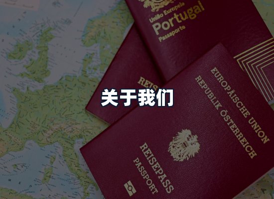 关于我们